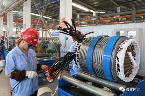 七年化茧成蝶 庐江企业以技术创新开拓国际市场